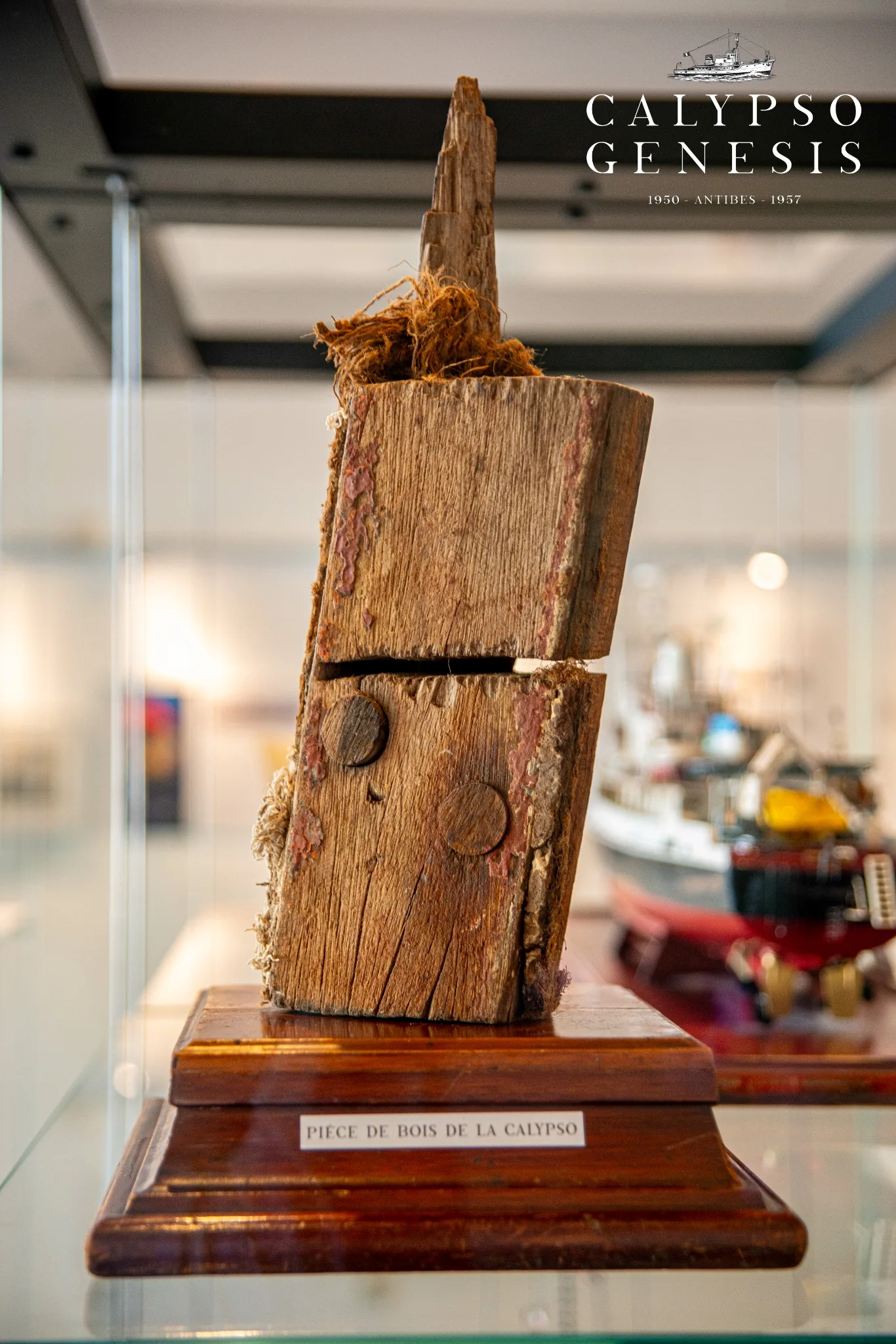 Pièce de bois provenant de la coque de la Calypso.